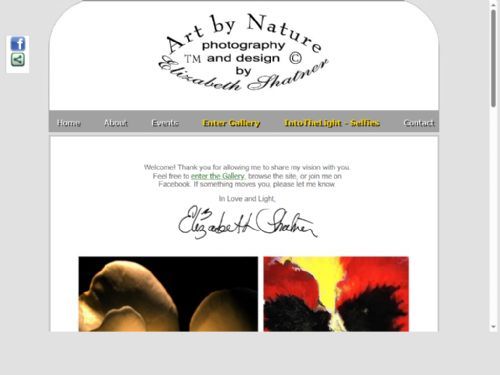 Elizabeth Shatner Art